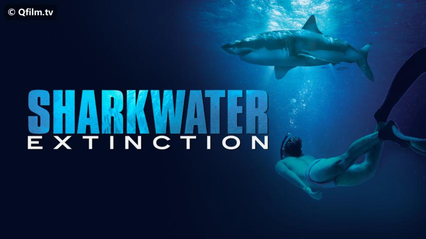 فيلم Sharkwater Extinction 2018 مترجم