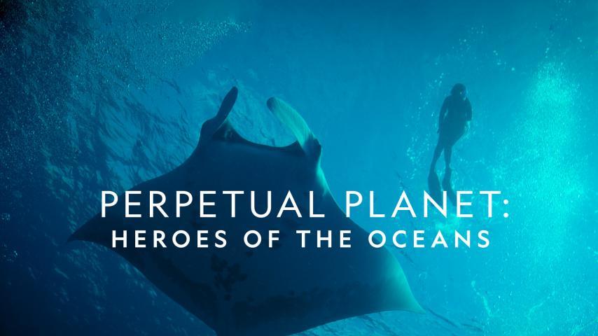 فيلم Perpetual Planet: Heroes of the Oceans 2021 مترجم